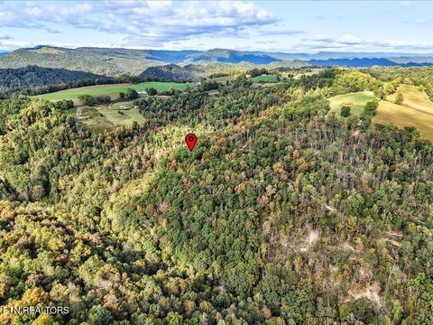 Tiny photo for 0 Claude Bolden Lane, Tazewell, TN 37879 (MLS # 1318482)