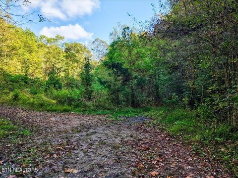 Tiny photo for 0 Claude Bolden Lane, Tazewell, TN 37879 (MLS # 1318482)
