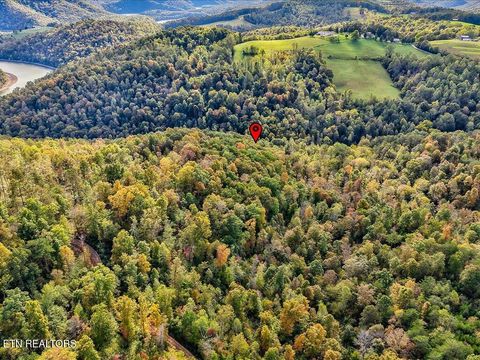 Tiny photo for 0 Claude Bolden Lane, Tazewell, TN 37879 (MLS # 1318482)