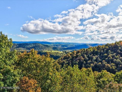 Tiny photo for 0 Claude Bolden Lane, Tazewell, TN 37879 (MLS # 1318482)
