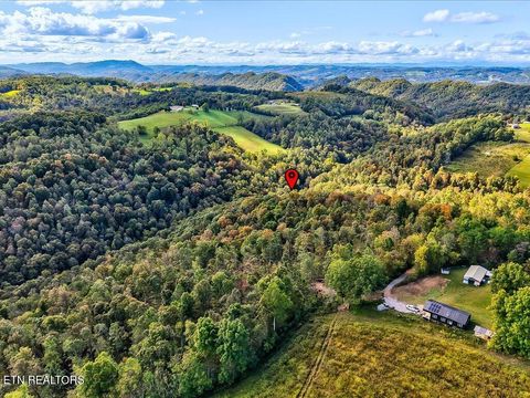 Tiny photo for 0 Claude Bolden Lane, Tazewell, TN 37879 (MLS # 1318482)
