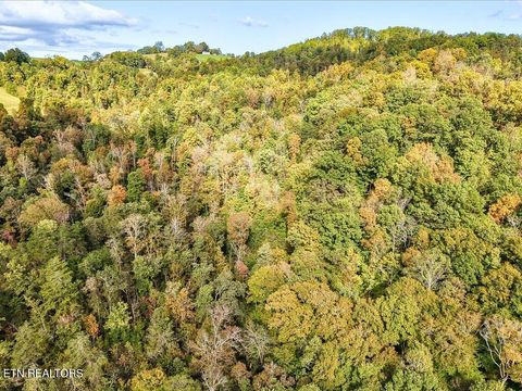 Tiny photo for 0 Claude Bolden Lane, Tazewell, TN 37879 (MLS # 1318482)