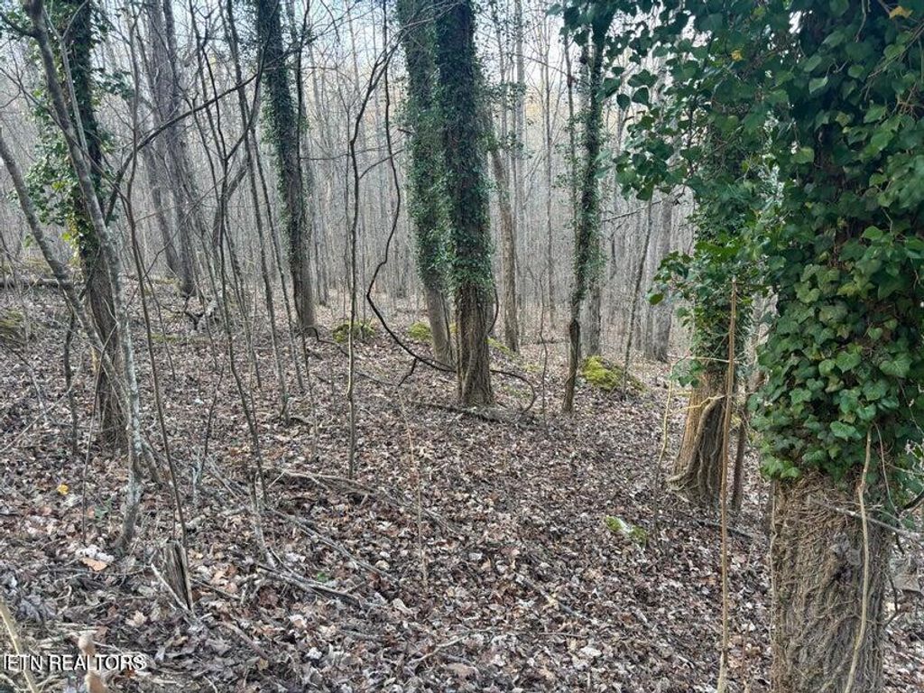 Photo of Lake Drive Lane, LaFollette, TN 37766 (MLS # 1333624)