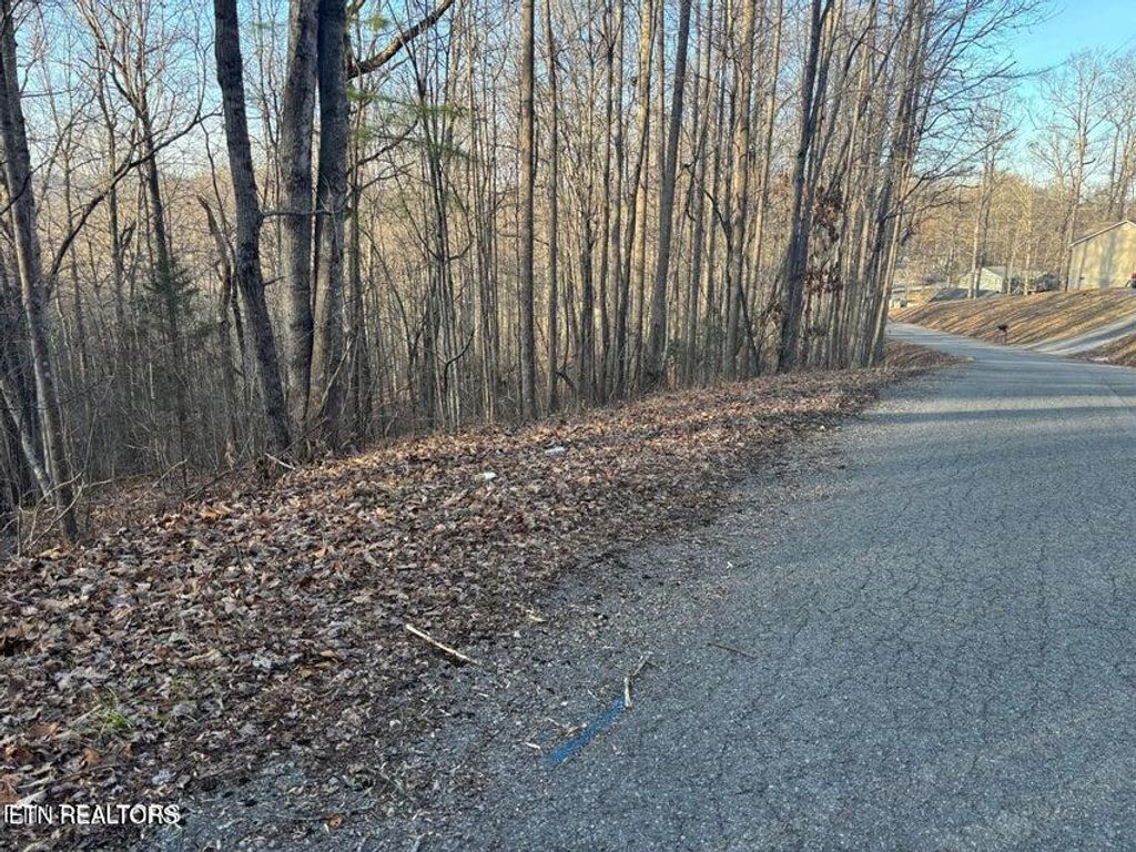 Photo of Lake Drive Lane, LaFollette, TN 37766 (MLS # 1333624)