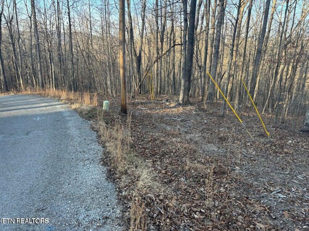 Photo of Lake Drive Lane, LaFollette, TN 37766 (MLS # 1333624)