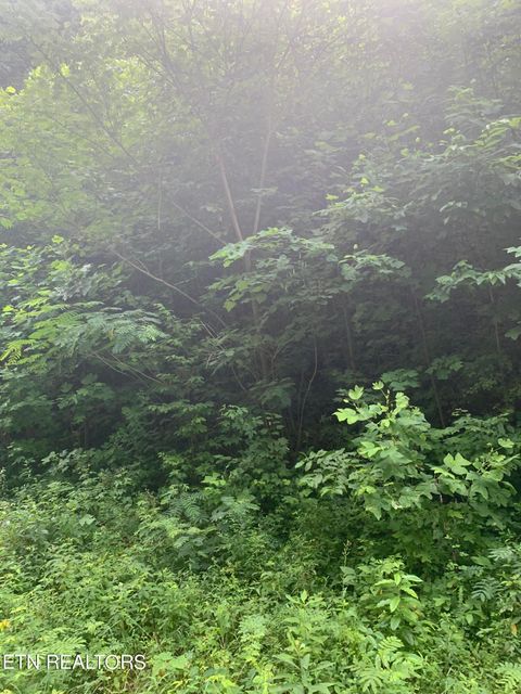 Bobcat Tr Caryville TN 37714