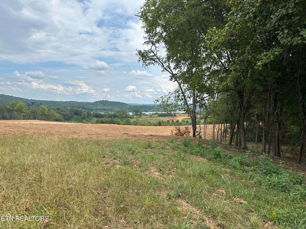 Photo of 4802 Old Dogwood Tr, Loudon, TN 37774 (MLS # 1295418)