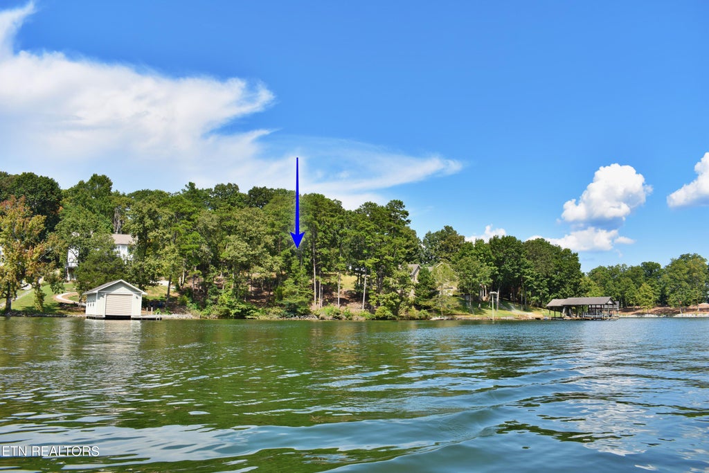 Photo of 320 Key Cove Rd, Spring City, TN 37381 (MLS # 1274988)