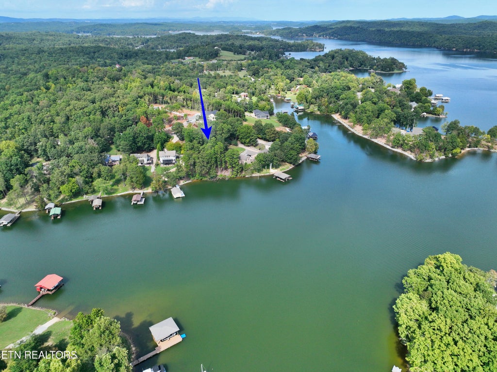 Photo of 320 Key Cove Rd, Spring City, TN 37381 (MLS # 1274988)