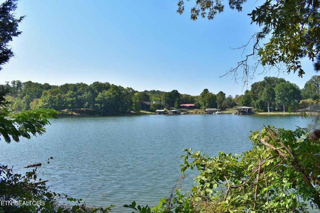Photo of 320 Key Cove Rd, Spring City, TN 37381 (MLS # 1274988)