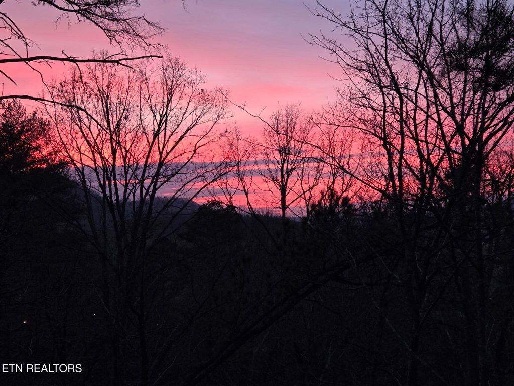 Photo of 472 Highway 107, Del Rio, TN 37727 (MLS # 1336529)