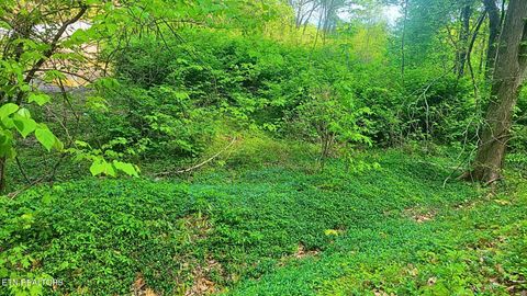 Tiny photo for 0 Arbon Drive #66, Gatlinburg, TN 37738 (MLS # 1340270)