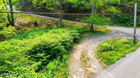 Tiny photo for 0 Arbon Drive #66, Gatlinburg, TN 37738 (MLS # 1340270)