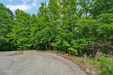 Tiny photo for Overlook Drive - Lot 62, Rockwood, TN 37854 (MLS # 1344237)