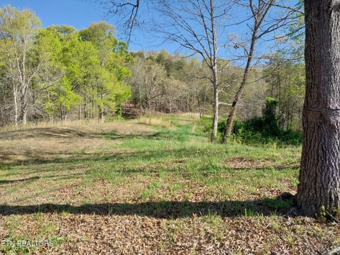 Tiny photo for 3381 Upper Caney Valley Rd, Tazewell, TN 37879 (MLS # 1319061)