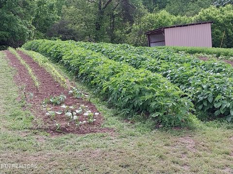 Tiny photo for 3381 Upper Caney Valley Rd, Tazewell, TN 37879 (MLS # 1319061)