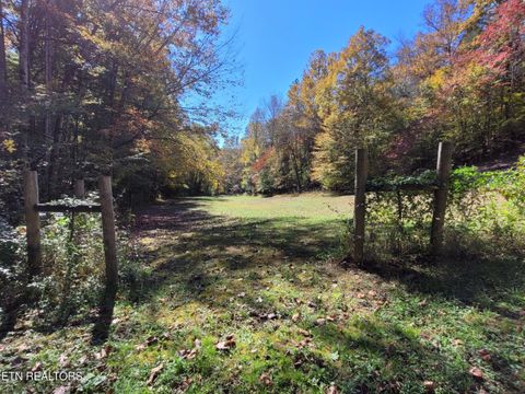 Tiny photo for 3381 Upper Caney Valley Rd, Tazewell, TN 37879 (MLS # 1319061)