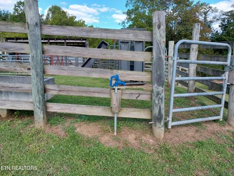 Tiny photo for 3381 Upper Caney Valley Rd, Tazewell, TN 37879 (MLS # 1319061)