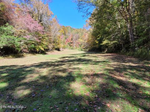 Tiny photo for 3381 Upper Caney Valley Rd, Tazewell, TN 37879 (MLS # 1319061)