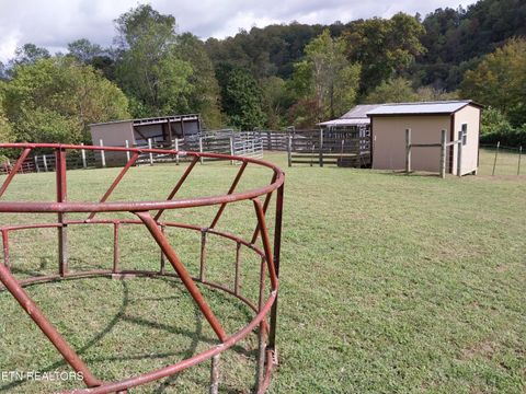 Tiny photo for 3381 Upper Caney Valley Rd, Tazewell, TN 37879 (MLS # 1319061)