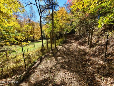 Tiny photo for 3381 Upper Caney Valley Rd, Tazewell, TN 37879 (MLS # 1319061)