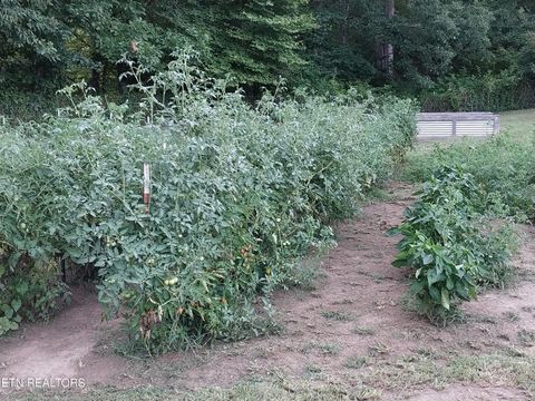Tiny photo for 3381 Upper Caney Valley Rd, Tazewell, TN 37879 (MLS # 1319061)