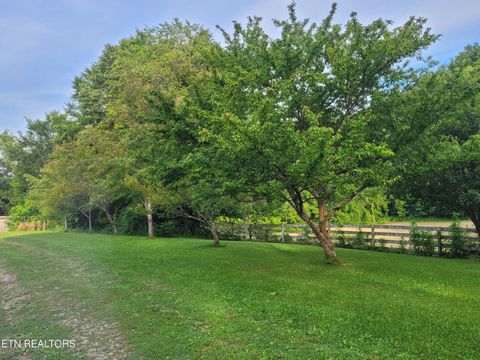 Tiny photo for 3381 Upper Caney Valley Rd, Tazewell, TN 37879 (MLS # 1319061)