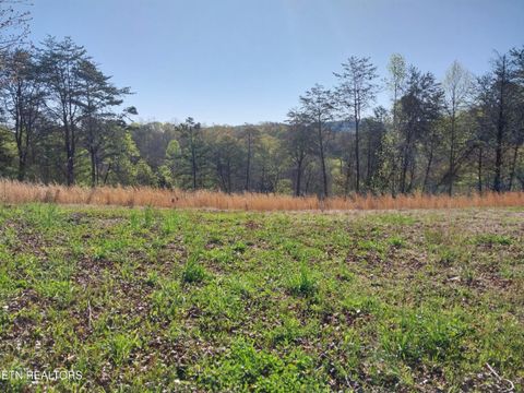 Tiny photo for 3381 Upper Caney Valley Rd, Tazewell, TN 37879 (MLS # 1319061)