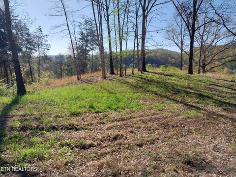 Tiny photo for 3381 Upper Caney Valley Rd, Tazewell, TN 37879 (MLS # 1319061)