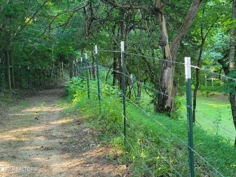 Tiny photo for 3381 Upper Caney Valley Rd, Tazewell, TN 37879 (MLS # 1319061)