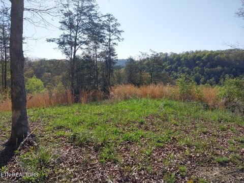 Tiny photo for 3381 Upper Caney Valley Rd, Tazewell, TN 37879 (MLS # 1319061)