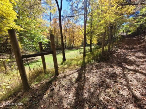 Tiny photo for 3381 Upper Caney Valley Rd, Tazewell, TN 37879 (MLS # 1319061)