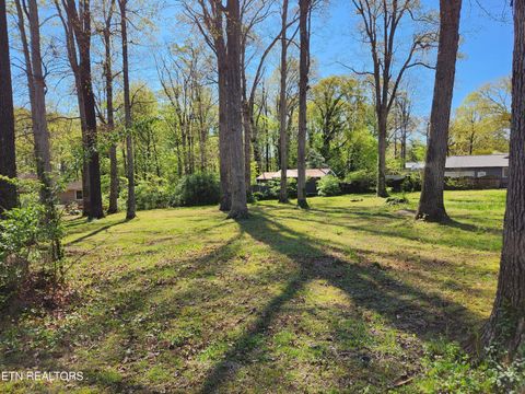 Photo of 4518 Lonas Drive, Knoxville, TN 37909 (MLS # 1335625)