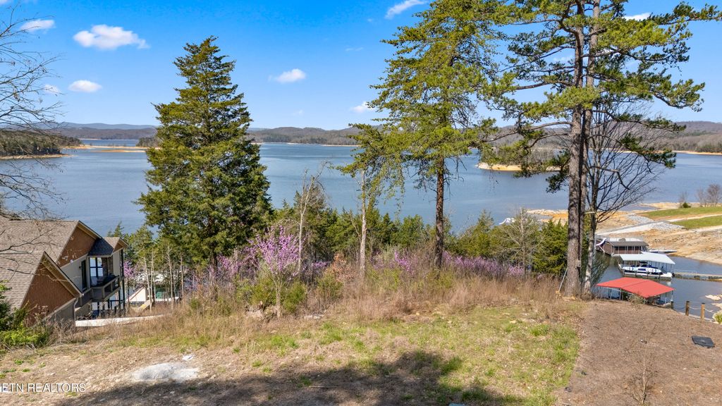 Photo of 765 Russell Brothers Rd, Sharps Chapel, TN 37866 (MLS # 1332631)