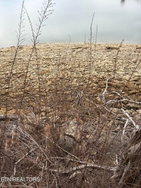 Tiny photo for 765 Russell Brothers Rd, Sharps Chapel, TN 37866 (MLS # 1332631)