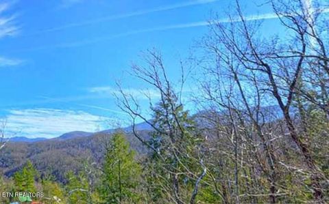 Tiny photo for 1779 Mountain Shadows Way, Gatlinburg, TN 37738 (MLS # 1328609)