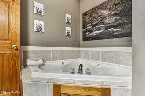 Tiny photo for 1779 Mountain Shadows Way, Gatlinburg, TN 37738 (MLS # 1328609)