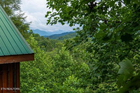 Tiny photo for 1779 Mountain Shadows Way, Gatlinburg, TN 37738 (MLS # 1328609)
