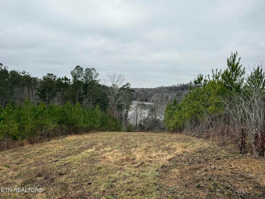 Photo of Lot 77 Saddleback Drive, Vonore, TN 37885 (MLS # 1322776)