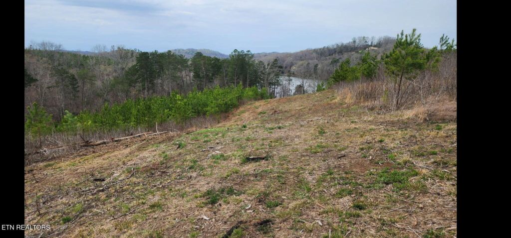 Photo of Lot 77 Saddleback Drive, Vonore, TN 37885 (MLS # 1322776)