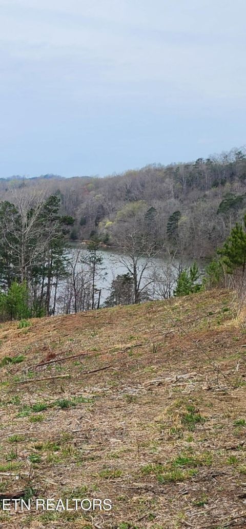Photo of Lot 77 Saddleback Drive, Vonore, TN 37885 (MLS # 1322776)
