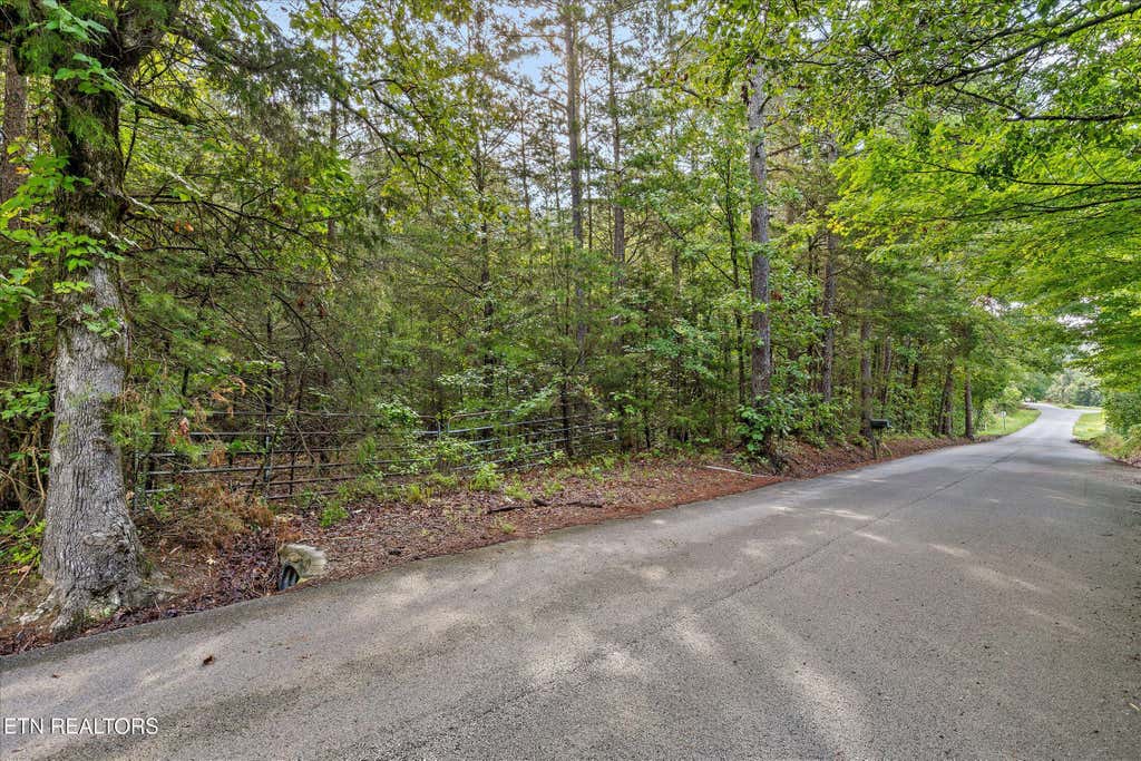 Photo of 12706 Cranfield Rd, Birchwood, TN 37308 (MLS # 1351055)