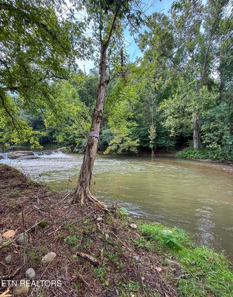 Tiny photo for 153 Padgett Mill Rd, Cosby, TN 37722 (MLS # 1350025)