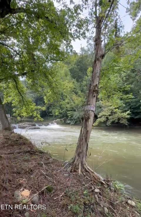 Tiny photo for 153 Padgett Mill Rd, Cosby, TN 37722 (MLS # 1350025)