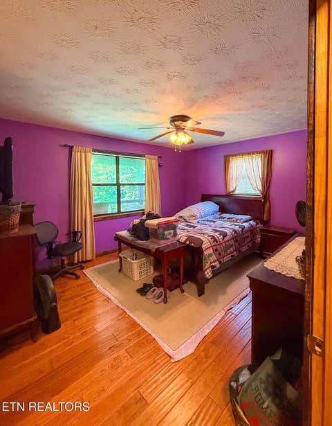 Tiny photo for 153 Padgett Mill Rd, Cosby, TN 37722 (MLS # 1350025)
