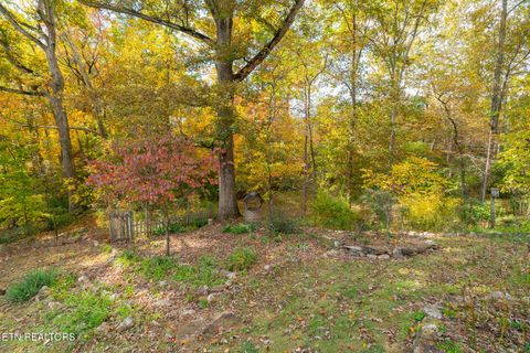 Tiny photo for 4621 Simona Rd, Knoxville, TN 37918 (MLS # 1321050)