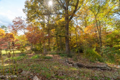 Tiny photo for 4621 Simona Rd, Knoxville, TN 37918 (MLS # 1321050)