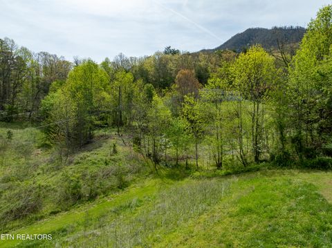 Tiny photo for Dry Valley Rd, Townsend, TN 37882 (MLS # 1335957)