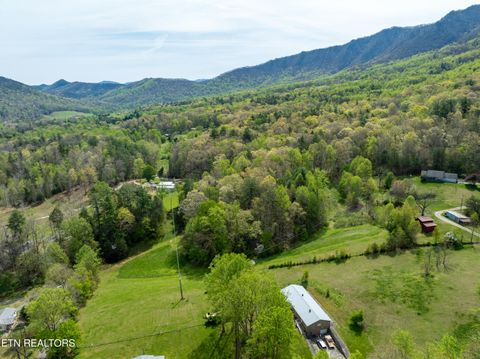 Tiny photo for Dry Valley Rd, Townsend, TN 37882 (MLS # 1335957)