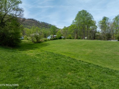 Tiny photo for Dry Valley Rd, Townsend, TN 37882 (MLS # 1335957)